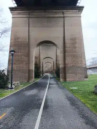 Randall's Island Field #43