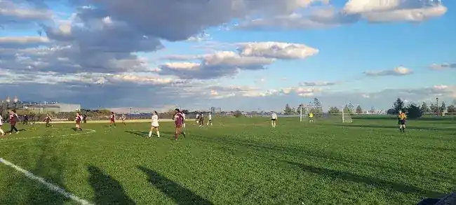 Randall's Island Field #44