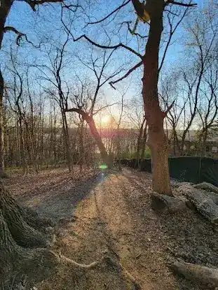 Raoul Wallenberg Forest