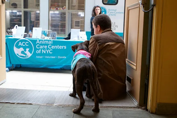 Reade Street Animal Hospital, A Thrive Pet Healthcare Partner