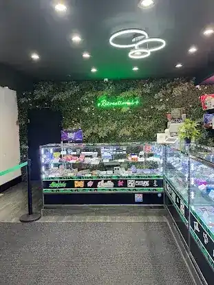 Recreational Plus Astoria