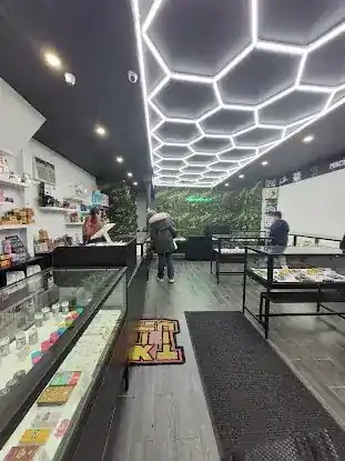 Recreational Plus EV