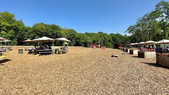 Red Barn Cidery
