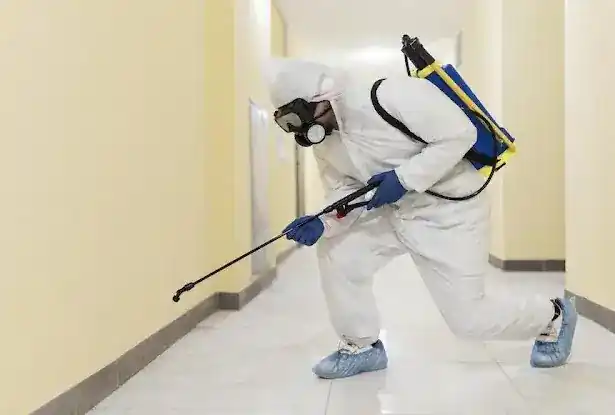 Reese Professional Cleaning Service