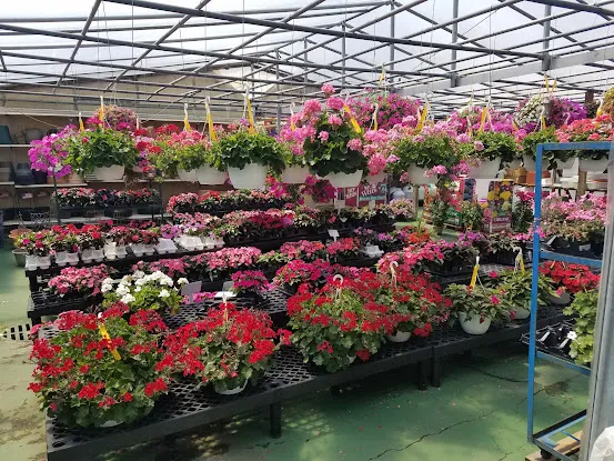 Reliable Garden & Ponds