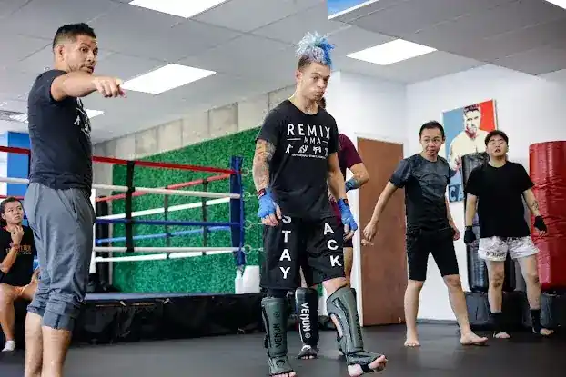 REMIX MMA