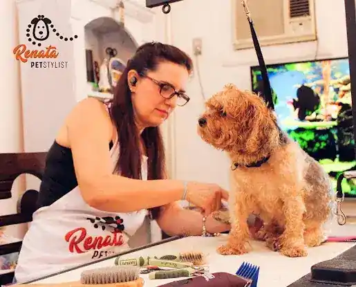 Renata Pet Stylist