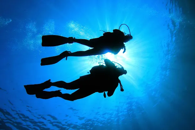 Rey Diving LLC