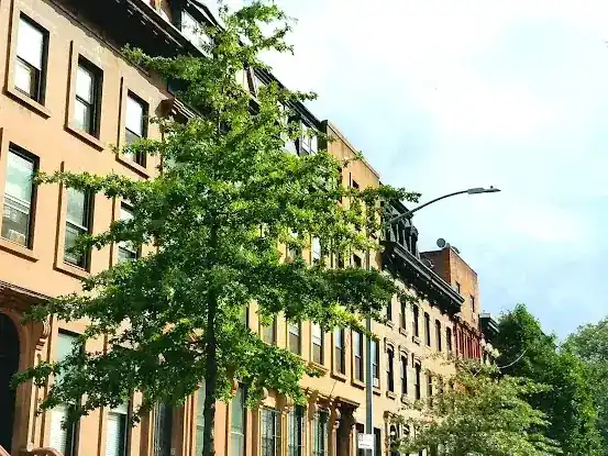 RICHTER RESTREPO PLLC