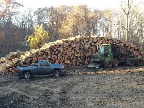 Riendeau & Sons Logging