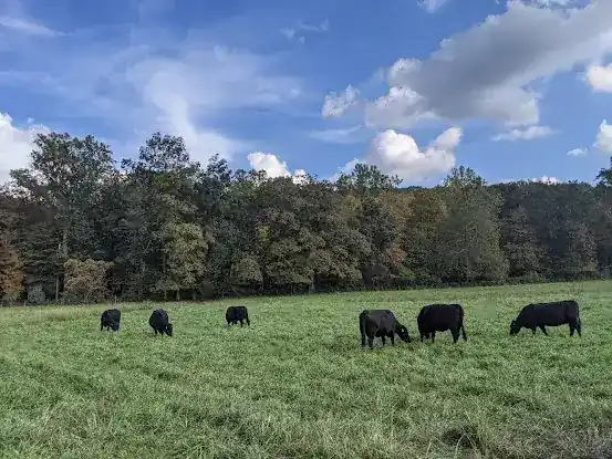 River Bend Farm