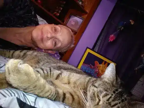 Robbin's cat sitting