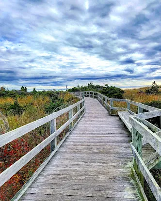 Robert Moses State Park - Long Island