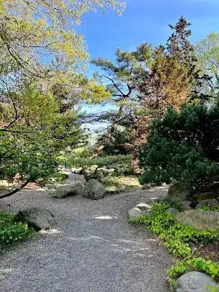 Rock Garden