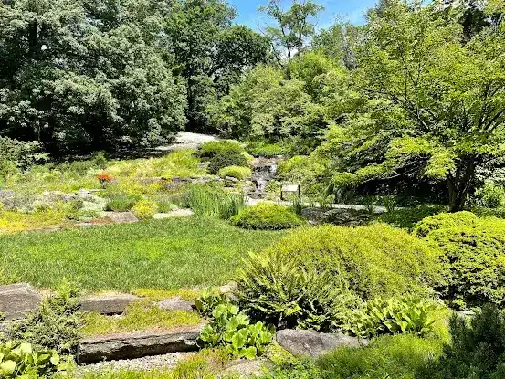 Rock Garden, NYBG