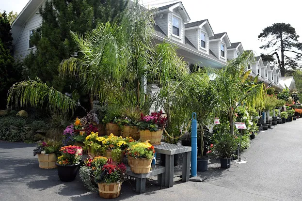 Rohsler's Allendale Nursery