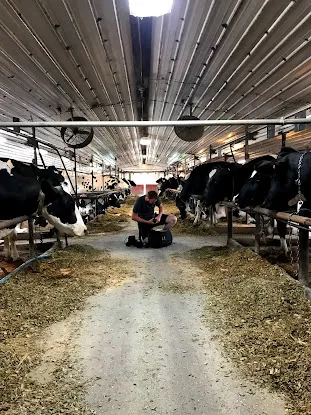 Ronnybrook Farm Dairy