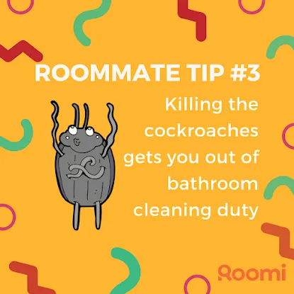 Roomi - Find Roommates & Rent Rooms