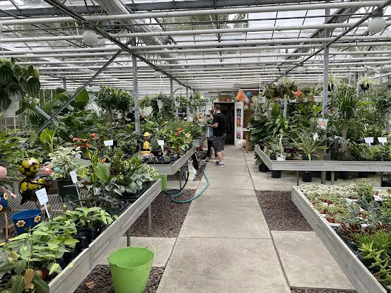 Rose Hill Nurseries