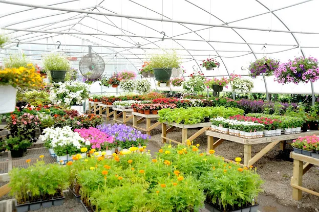 Rosedale Nurseries Inc.