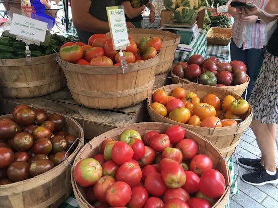 Row By Row Organic Farm - Tucker Square