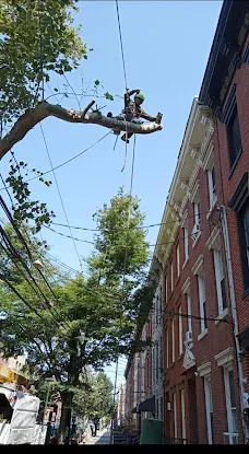 Royal Tree Service