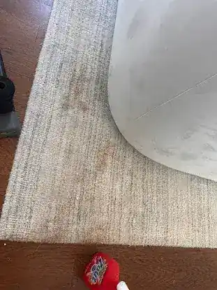 Rug doctor mena