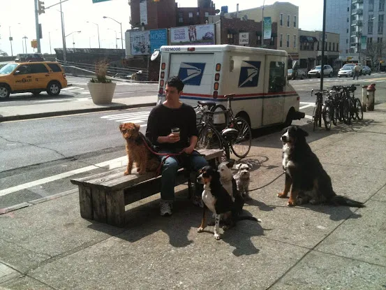 Ryan For Dogs