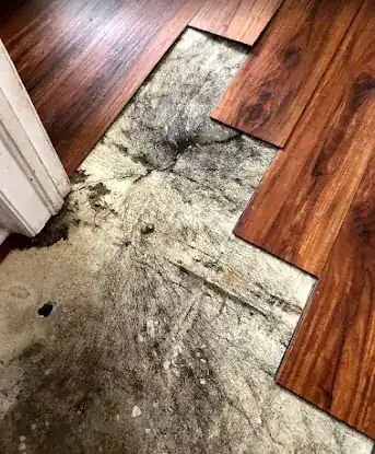 S-PRO Damage Restoration Upper Manhattan