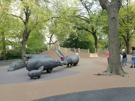 Safari Playground