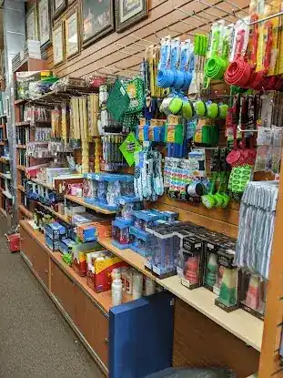 Safra Judaica and Stam