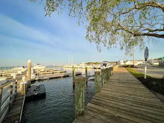 Sagamore Blue