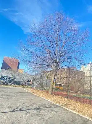 Saint Mary's Park