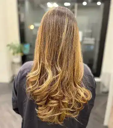 Salon VMS