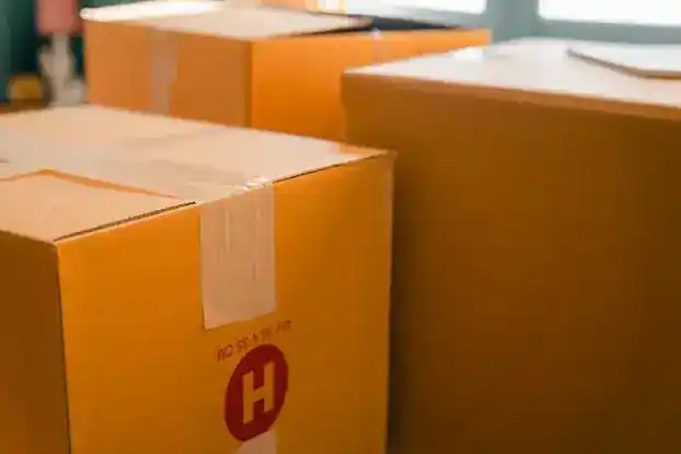 Same Day Courier And Messenger Service