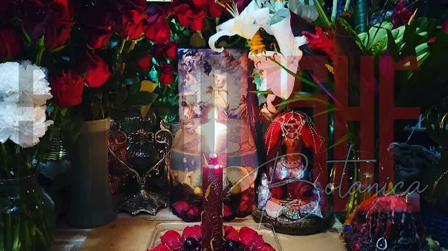 Santo Ashè Botanica