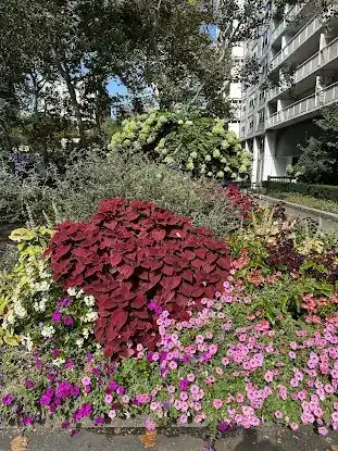 Sasaki Garden