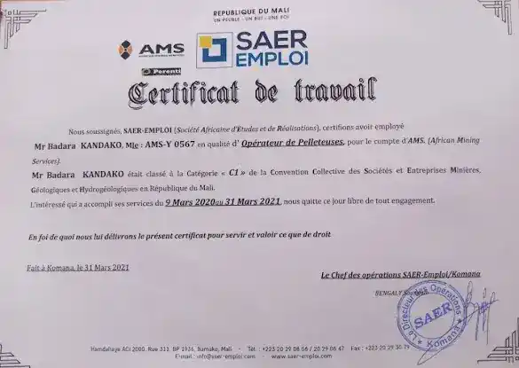SATAREM