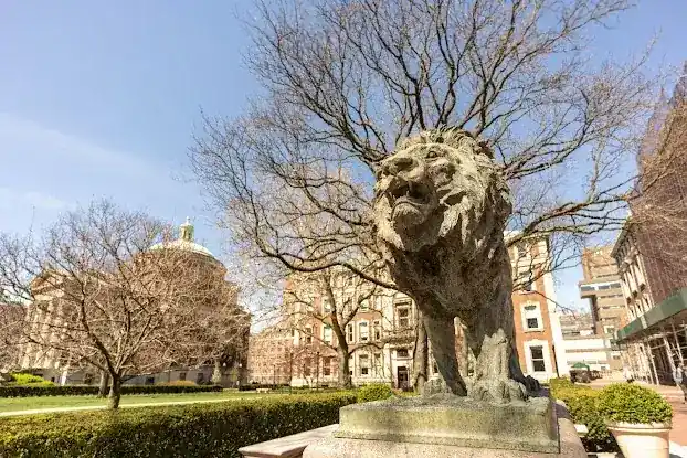 Scholar's Lion
