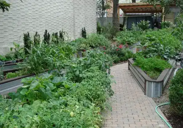 Scholes Street Children's Garden