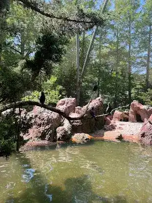 Sea Bird Aviary
