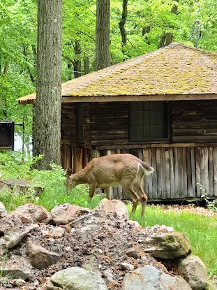 Sebago Cabin Camp