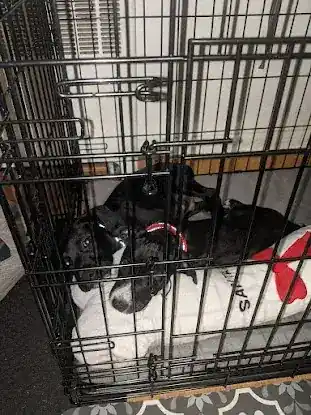 Secaucus Animal Shelter