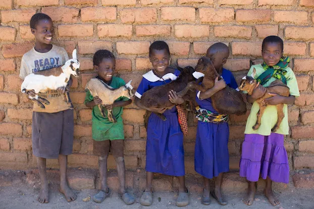 Self Help Africa
