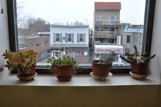 Selfhelp Community Services - Maspeth Older Adult Center