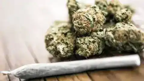 Sensi medical Cannabis
