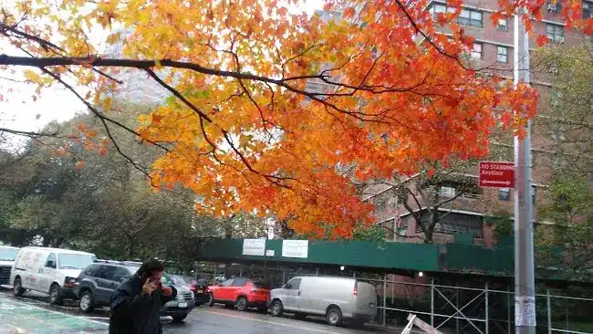 Seward Park Housing