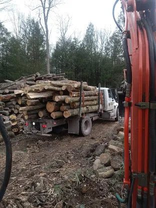 Sexton's Excavating & Logging LLC