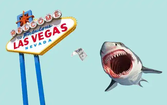 Shark Sports Investment Club