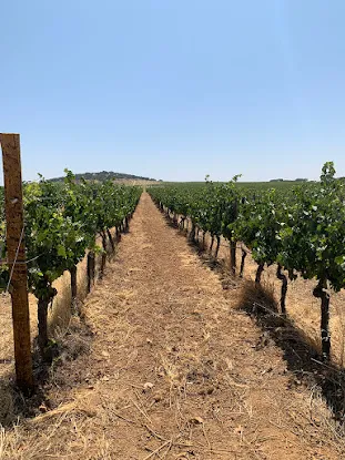 Sheehan Brothers Corp. - Wine Importer, Wholesaler & Distributor
